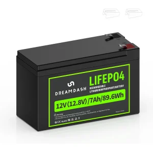 LiFePO4 Battery