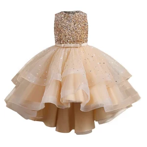 Girls Beaded Dress